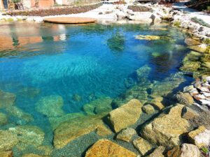IMG-20230725-WA0003