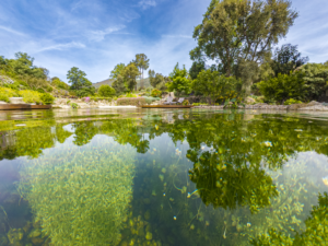 DJI_20260423105241_0078_D