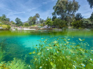 DJI_20260423105409_0080_D